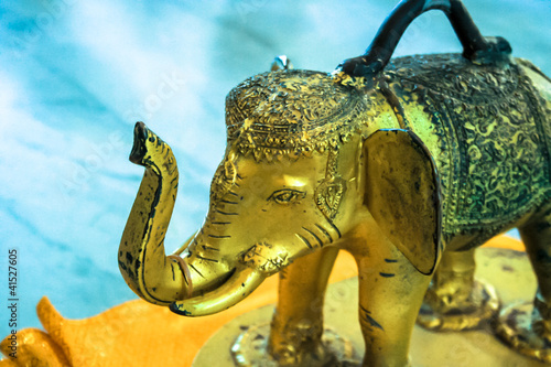 Elephant foretell