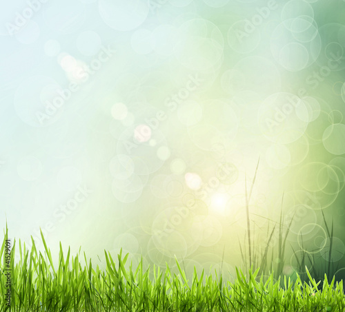 Abstract spring background