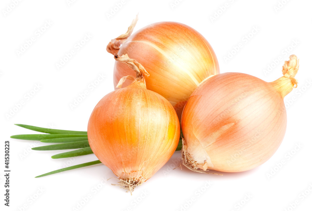 Three Fresh bulbs of onion and Fresh Scallions isolated on a whi - obrazy, fototapety, plakaty 
