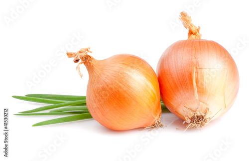 Wallpaper Mural Two Fresh bulbs of onion and Fresh Scallions isolated on a white Torontodigital.ca