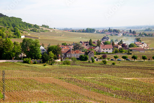 chambolle-musigny