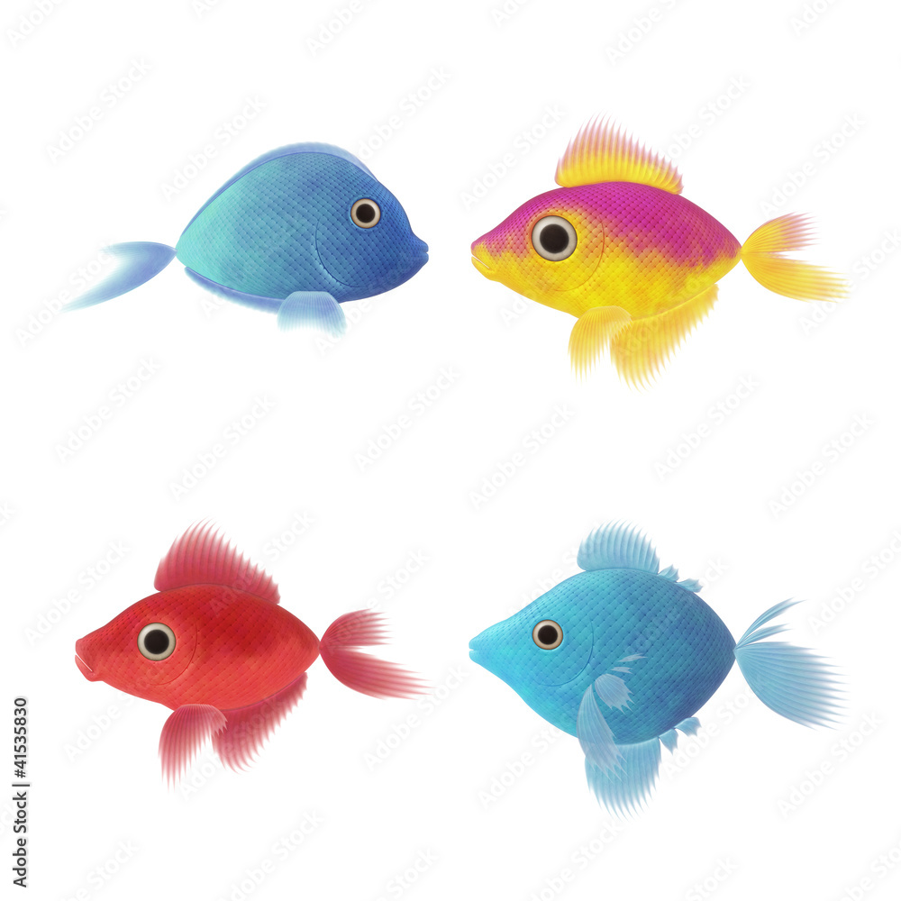 four fish illustrations