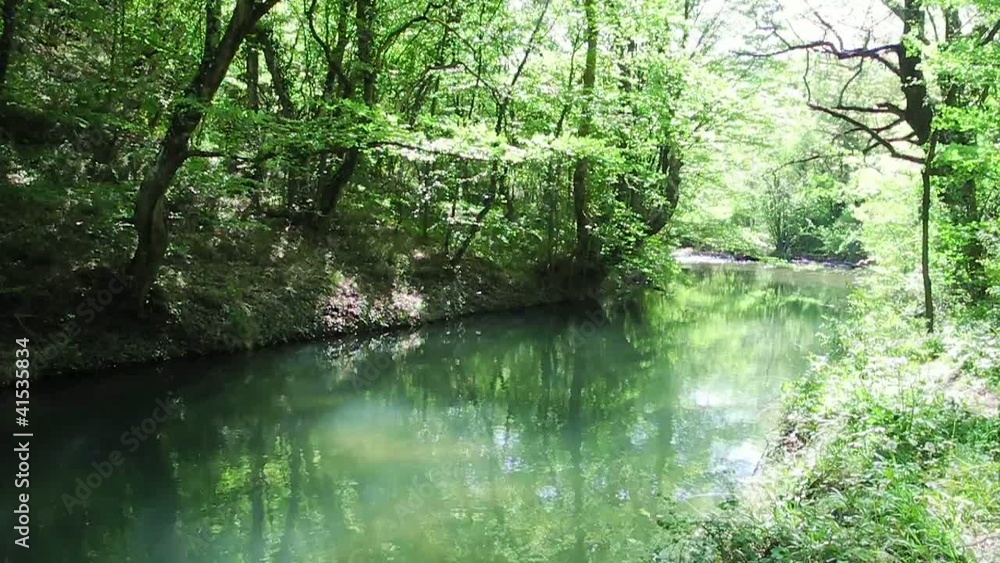 Mountain stream with clear water in the woods Mountain stream with clear water in the woods