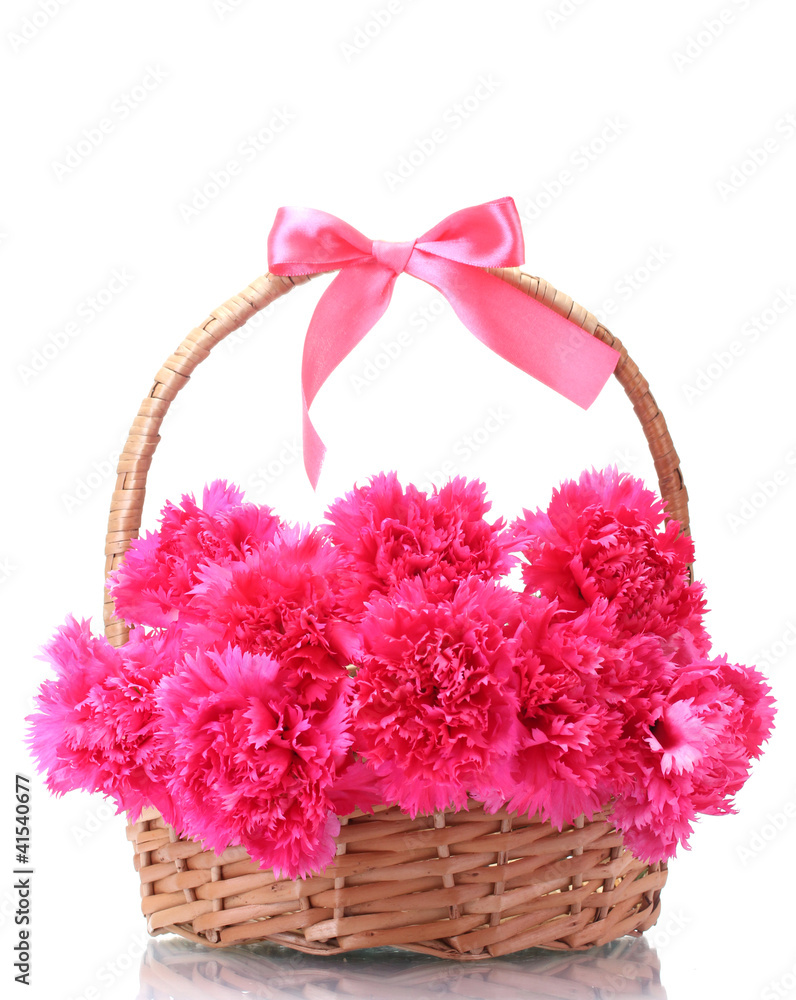 Beautiful pink carnations in basket isolated on white Beautiful pink carnations in basket isolated on white