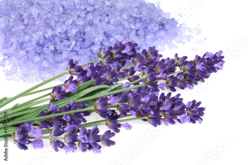 Fototapeta Naklejka Na Ścianę i Meble -  Lavender