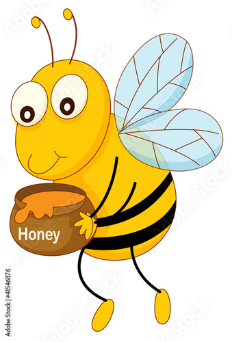 Simple insect
