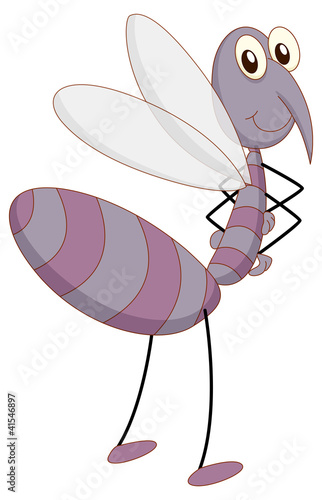 Mozzie