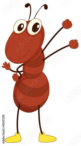 Simple insect