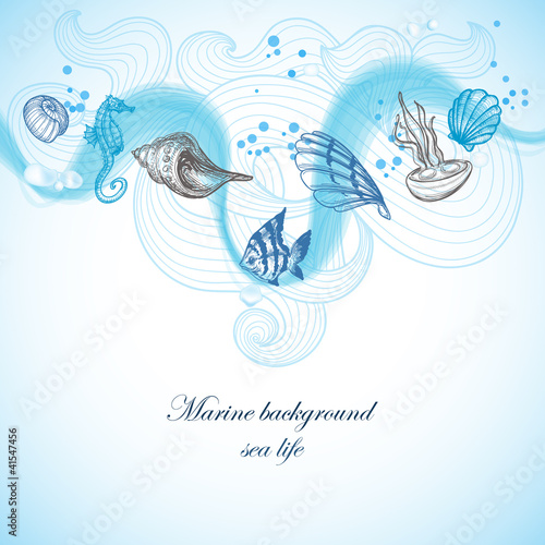 Sea background, marine fauna hand drawn elements