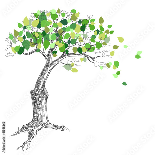 Tree with green leaves