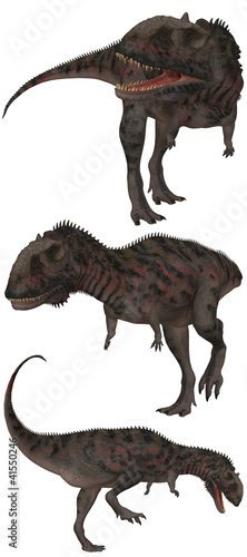 Fototapeta Naklejka Na Ścianę i Meble -  Majungasaurus