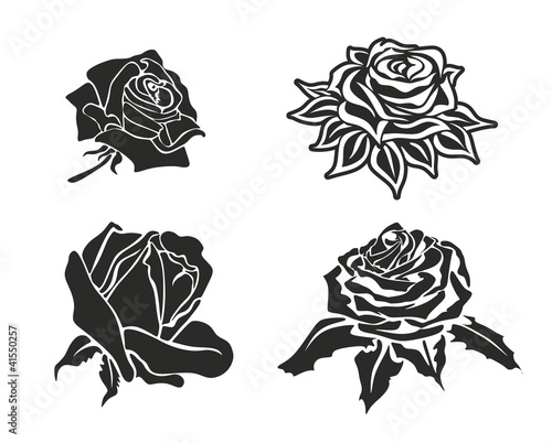 rose 15b