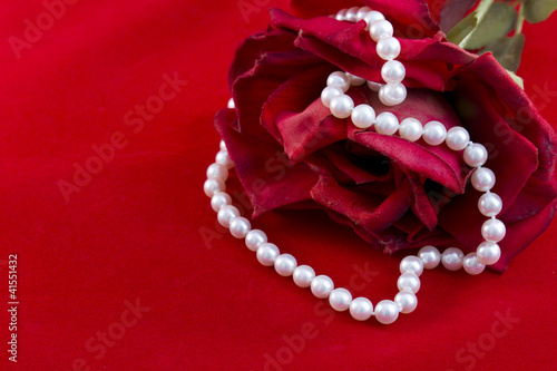 Collana di perle e rosa rossa su fondo rosso photo