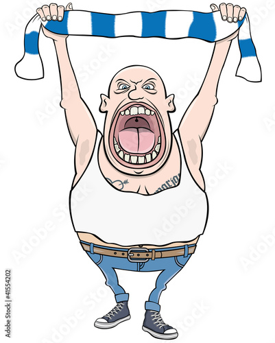 Football fan