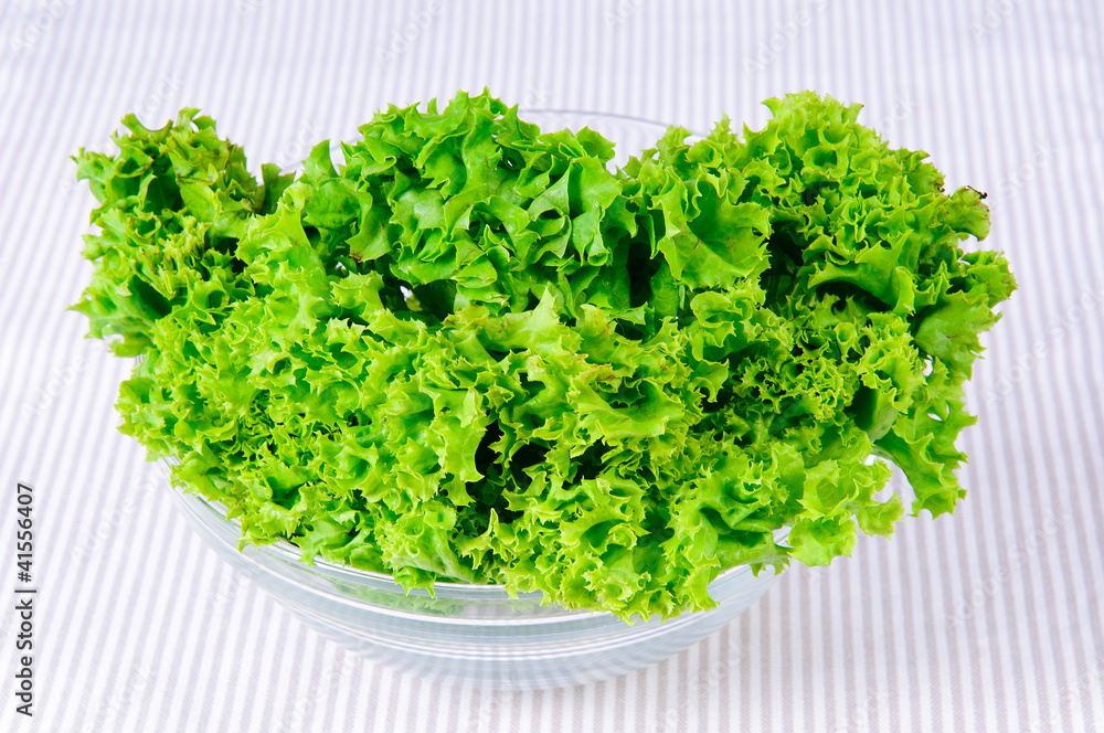 Obraz premium Fresh green Salad leaves