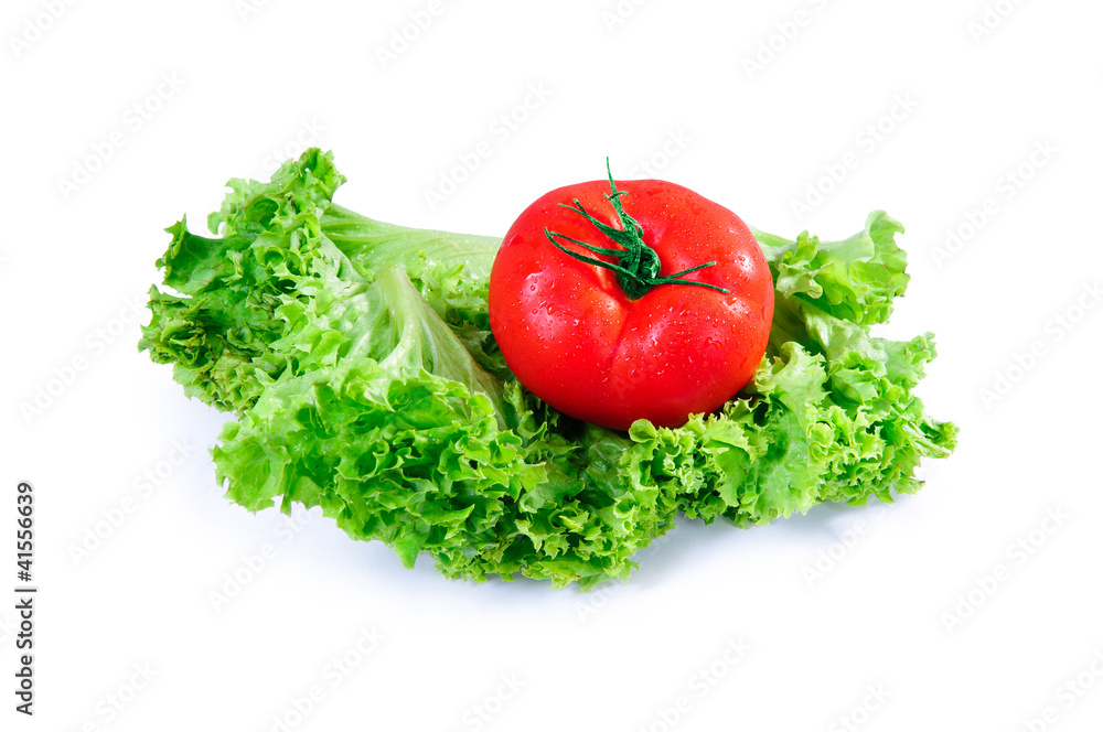 Salad leaves and tomato