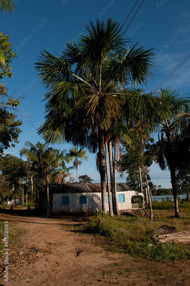 Obraz premium Rio Negro