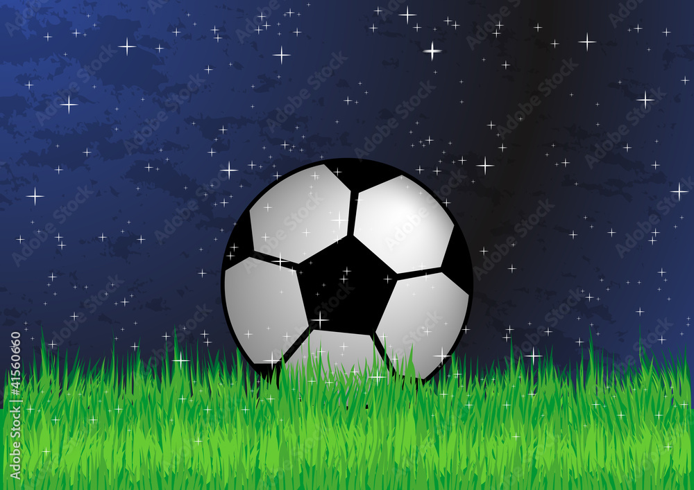 Fototapeta premium Soccer ball