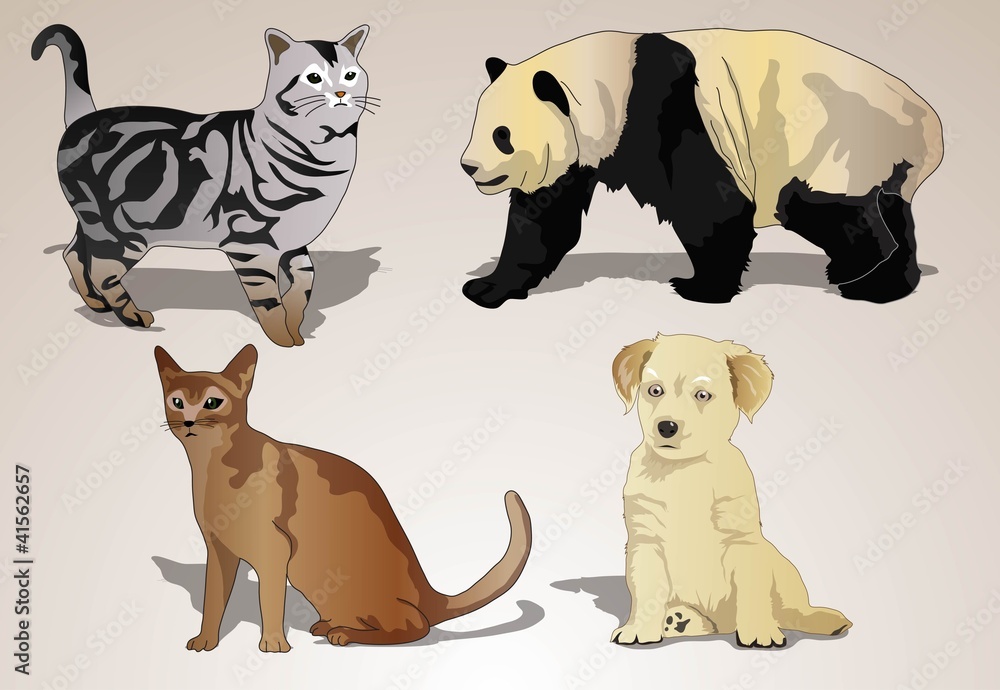 Naklejka premium amazing animals