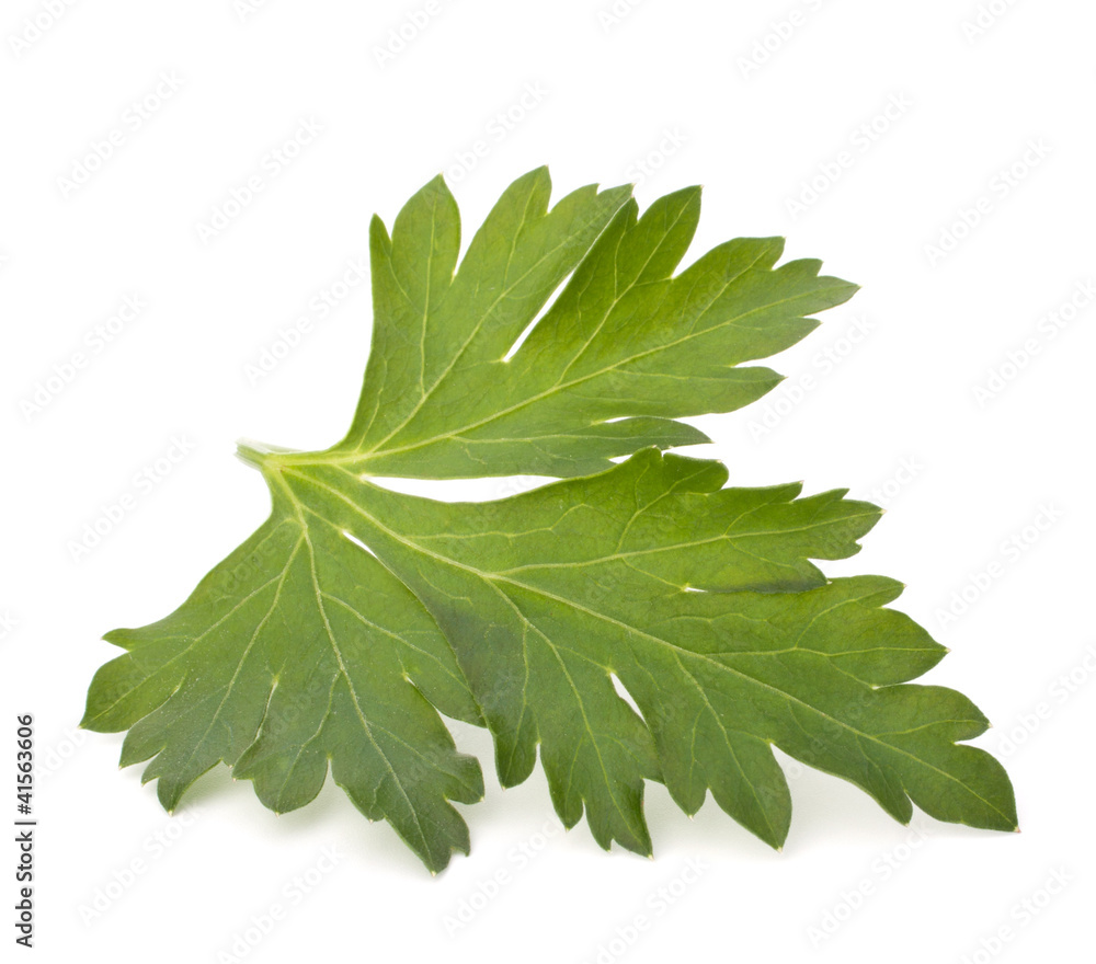 parsley parsley