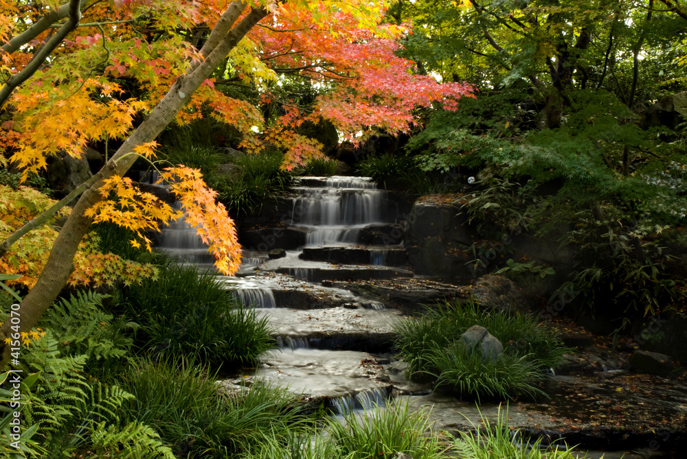 Fototapeta premium waterfall in japanese garden