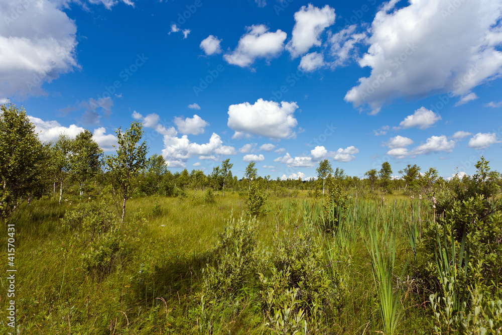Summer landscape with blue sky and clouds Summer landscape with blue sky and clouds