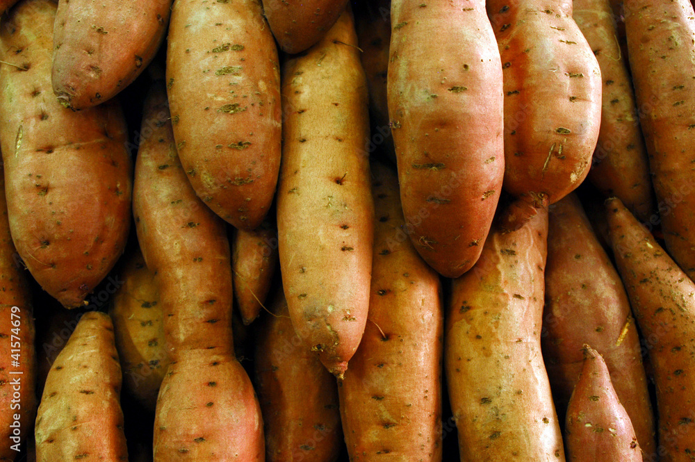 Food - Vegetables Food - Vegetables