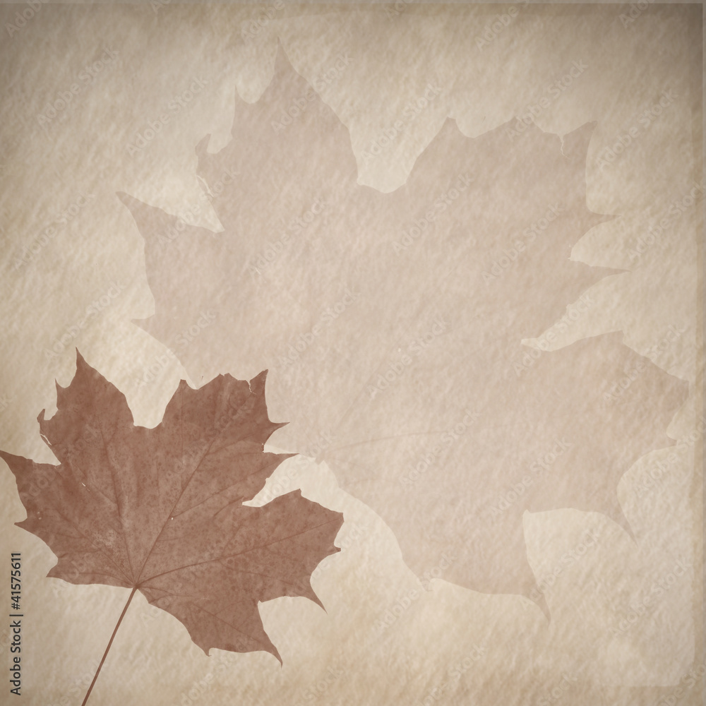 Fototapeta premium autumnal retro design