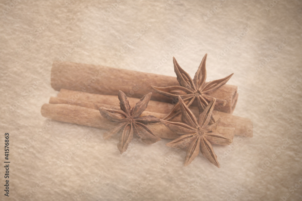 star anise and cinnamon star anise and cinnamon