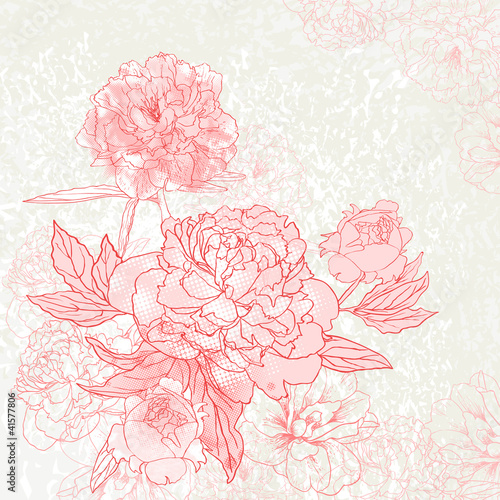 Peony background