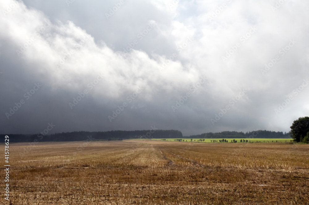 Fototapeta premium Autumn landscape