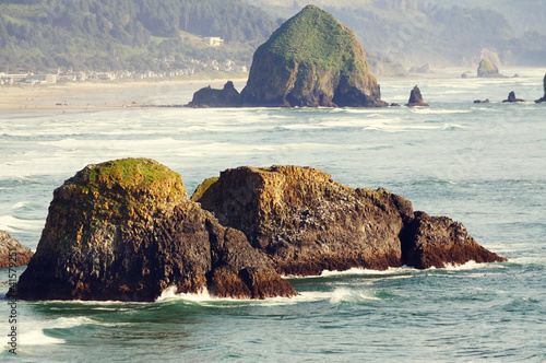 A Beautiful view of Ecola photo