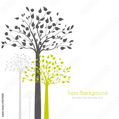 trees with leaves on white background