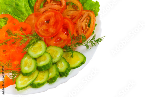 Salad of cucumber and tomato salad appetizer with slices of fenn