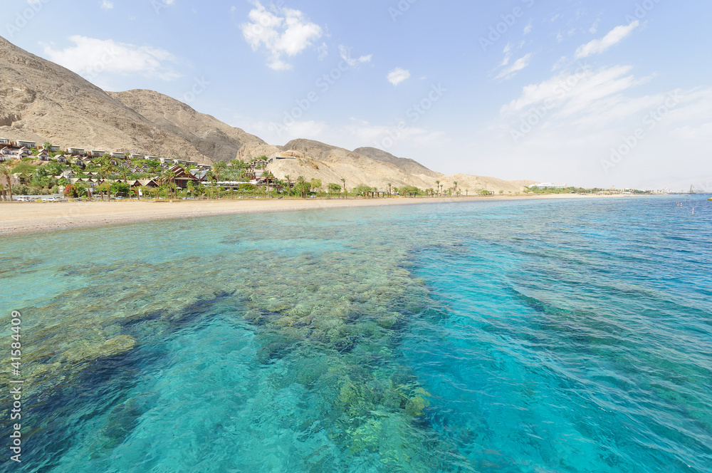 Diving in Egypt