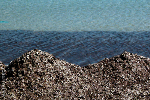 montagne di alghe sovrastano l'acqua photo