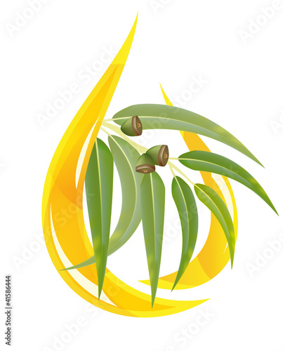 Eucalyptus essential oil