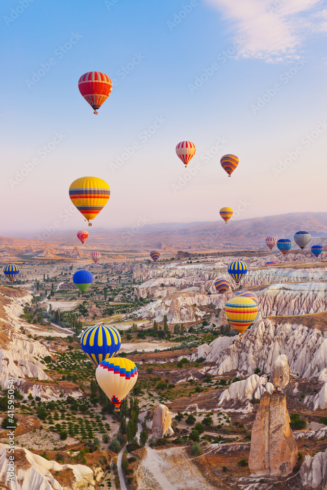 Obraz premium Balon na ogrzane powietrze przelatujący nad Kapadocją w Turcji