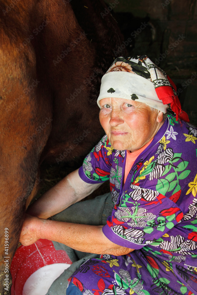 woman old poor farmer milking cow