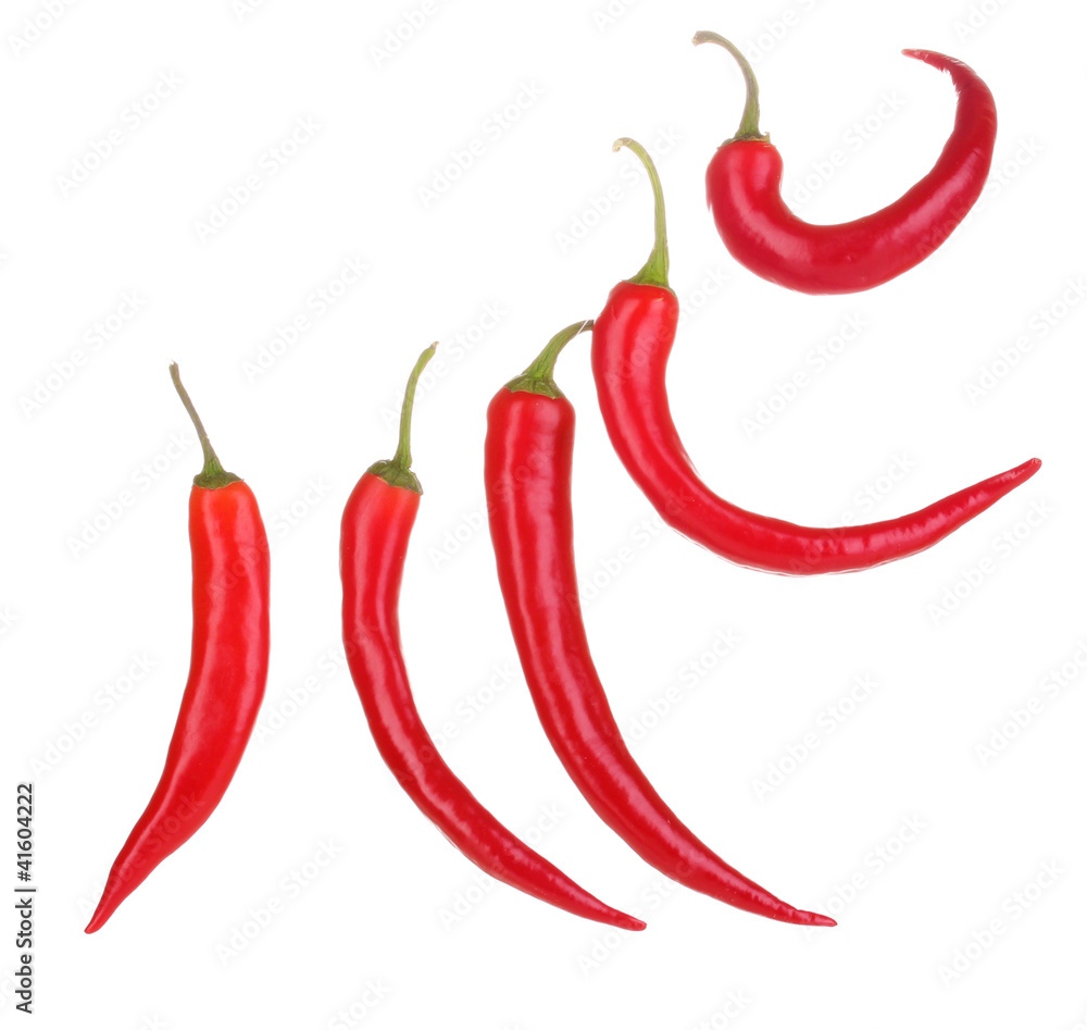 Red hot chili peppers isolated on white Red hot chili peppers isolated on white