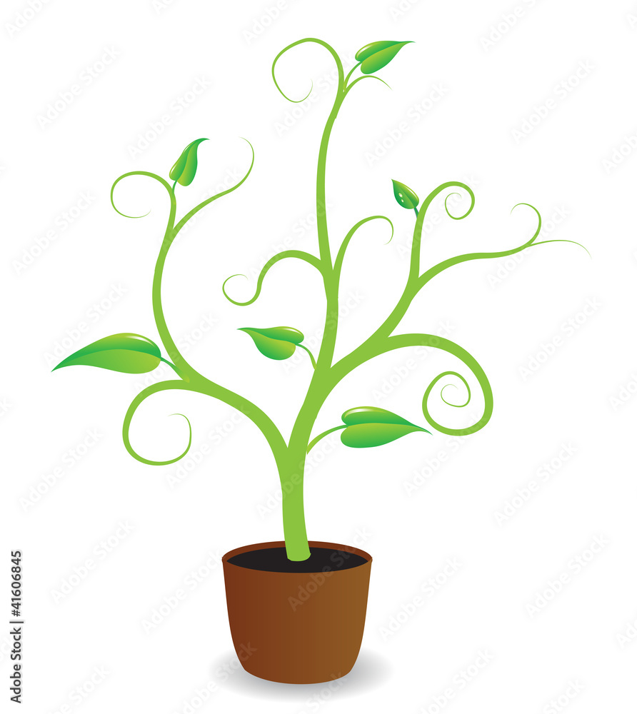 Fototapeta premium A potted plant beginning to grow, vector