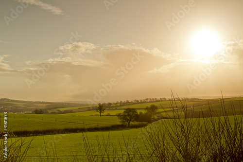 Late afternoon in the countryside