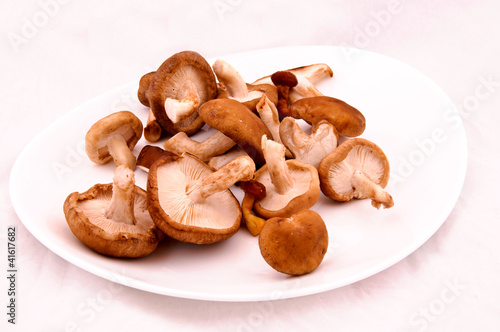 Mushroomsplate