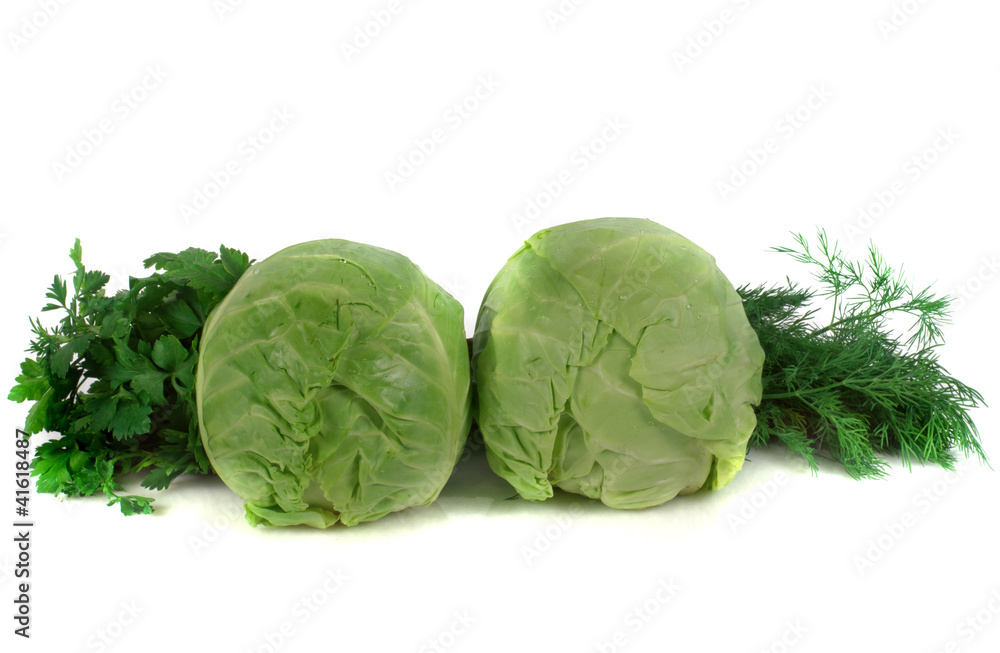 Obraz premium cabbage with greens