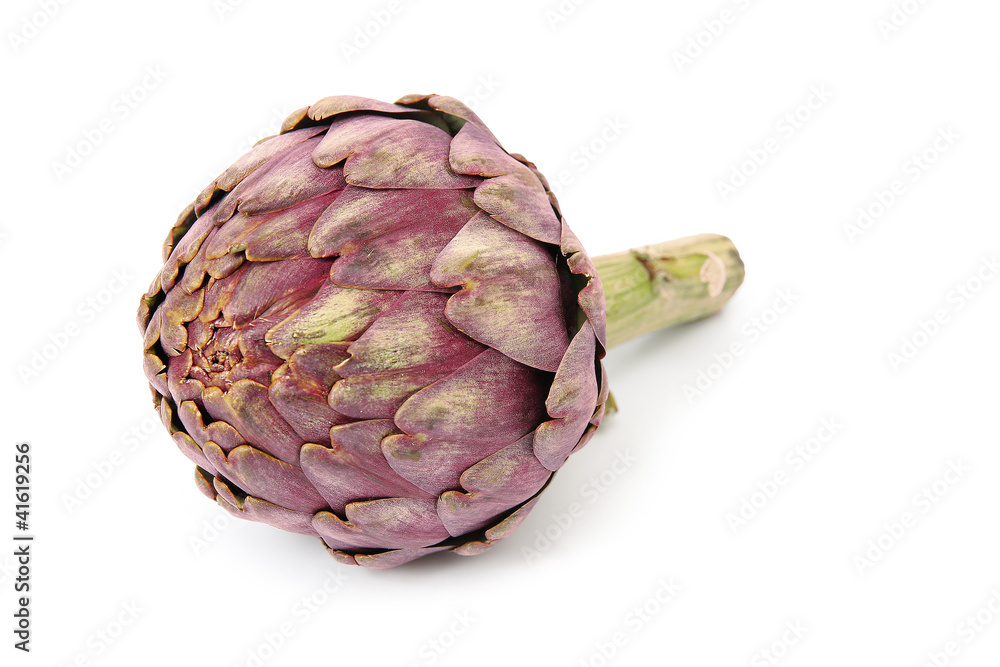 Obraz premium artichaut