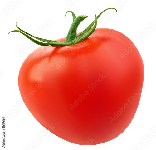 Wallpaper Mural Tomato isolated on white background. Torontodigital.ca