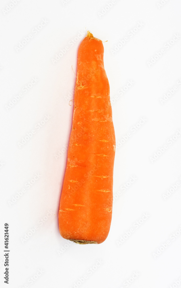 Fresh Carrot Isolated on a White Background Fresh Carrot Isolated on a White Background