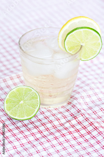 water with lemon and lime in a glass with ice © Evgeniya Uvarova