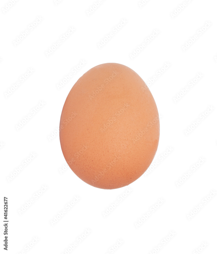 One egg on white background One egg on white background