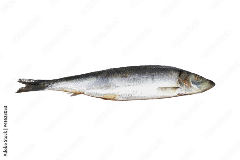 Herring. Image series of different food on white background Herring. Image series of different food on white background